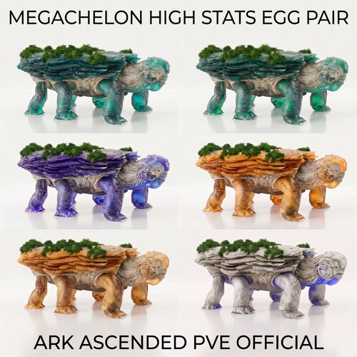 Megachelon high level coppia - level,
