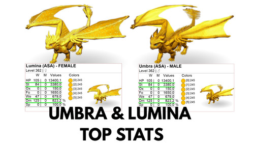 Umbra lumina top stats clone - stats,